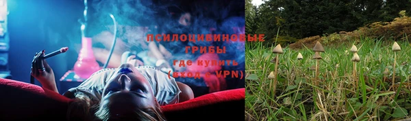 первитин Осинники